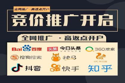 SEM代运营服务公司成功案例解析
